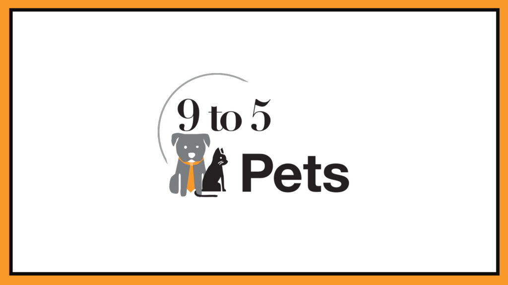 9-to-5-pets