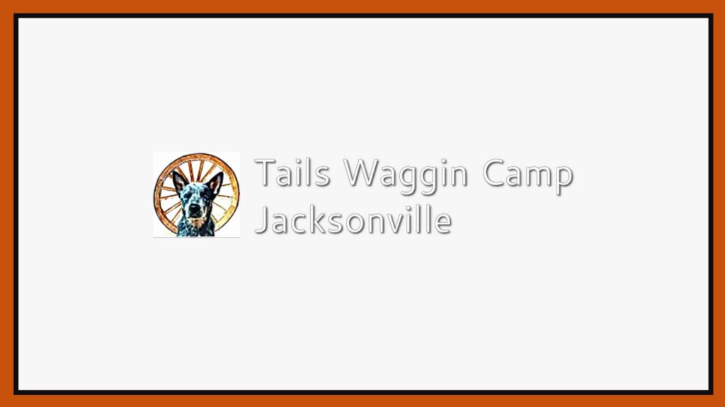 tails-waggin-camp